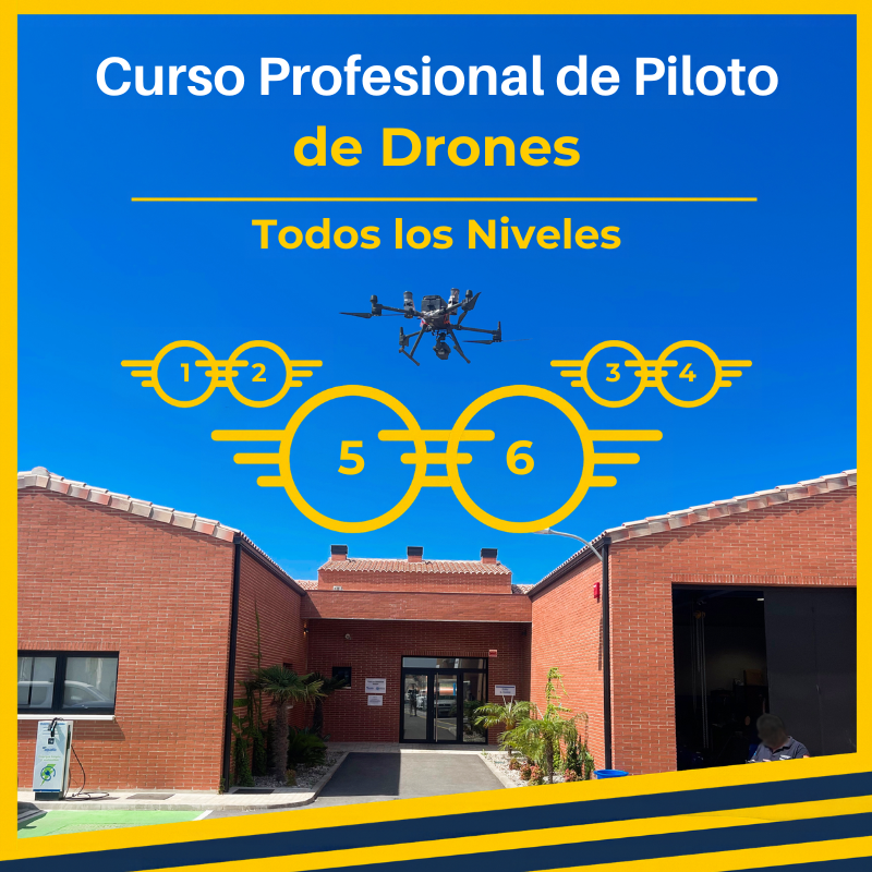 Curso Profesional
